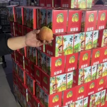 礼盒香梨，海量货源，需要的联系