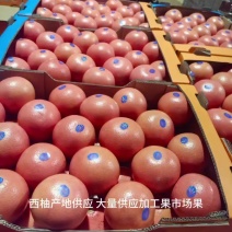 西柚
