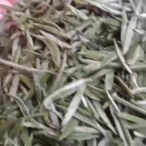 绿茶信信本地毛尖，香浓劲醇