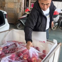 洛川红富士🍎