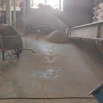 糙米，鹅粮