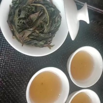 凤凰单枞生态春大乌单枞