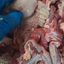 牛碎肉