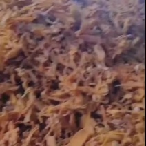 各种笋子笋尖笋丝都有