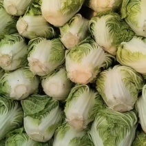 京东868大白菜