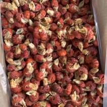 特级虾尾