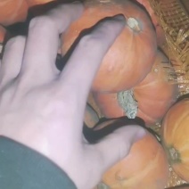 红贝贝