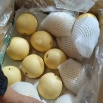 一级皇冠梨，大量有货，需要的联系