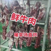 鲜牛肉