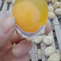 河南五香鸡皮蛋