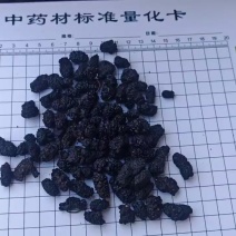 桑椹，食用级。产地一手货源，量大可优惠！欢迎咨询！