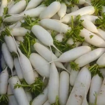 小白条