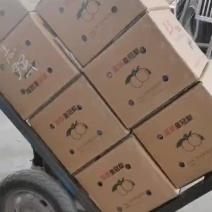 皇冠梨便宜了海量货源