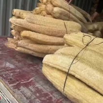 20/30厘米丝瓜络