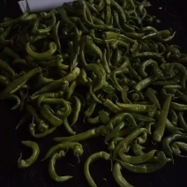 辣椒撅子