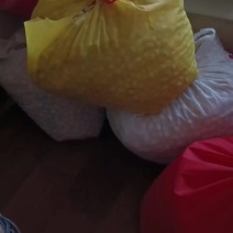银杏果（白果）