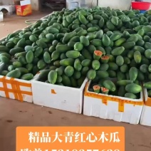 【推荐】大青木瓜大量接单产地直发量大从优欢迎来电