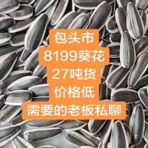 8199葵花