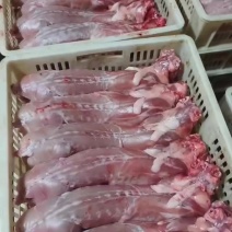 鲜兔批发价，全国包邮