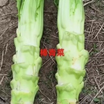 棒青菜出嫁