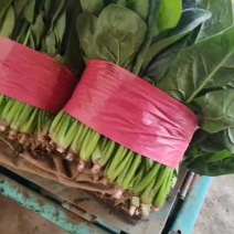 菠菜