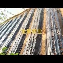 打孔地膜源头厂家