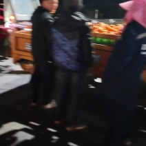 市场百家货沃柑柑桔皮薄汁甜纯甜柑桔视频看货欢迎来电合作