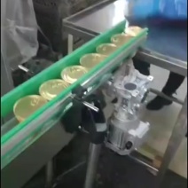 常温佛跳墙支持一件代发