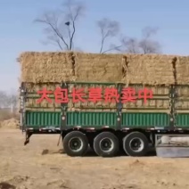 场地直发