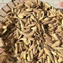 支持价格定制