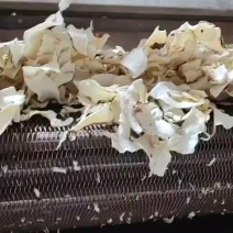 魔芋粉