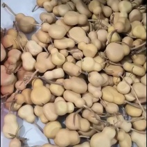 各种夹扁葫芦，手捻夹扁葫芦，精品通货都有，数量有需要的联系。