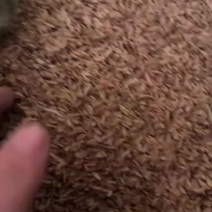 需要压缩袋装稻壳联系