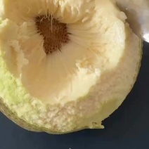 奶酪面包果