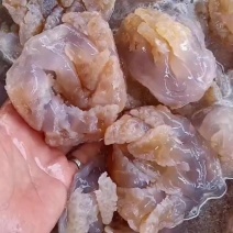海蜇批发现货