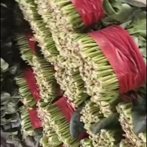 菠菜