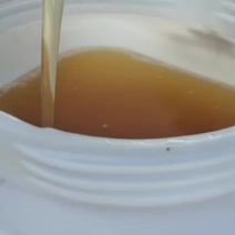 长白山椴树蜜