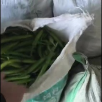 杭椒