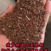 俄罗斯亚麻籽胡麻籽，含油40