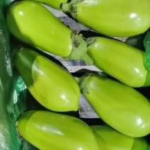 精品青茄，大量供应