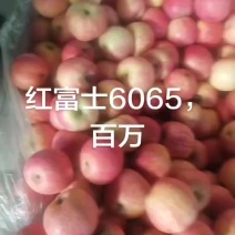 红富士6065百万