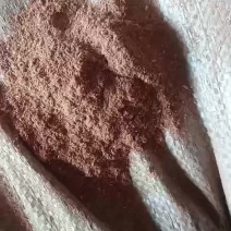 松针粉