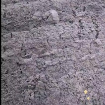 贵州望谟大量干湿分离猪粪出售，有需要的请联系