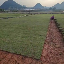 贺州富川瑶族自治县草皮，草卷