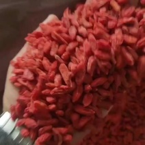 鹿茸菇，羊肚菌，枸杞，虫草花