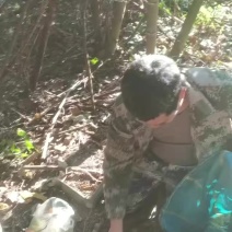 桂林布灵川县灵田正义金盆村高山东笋