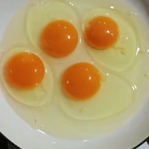 士鸡蛋