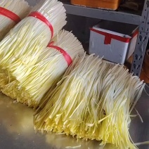 精品韭黄