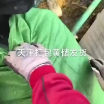 110一吨发货