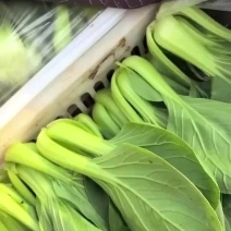 大量供应